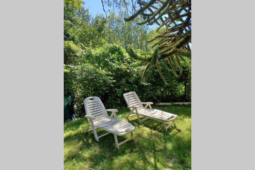 L'Oree Des Bois , Detente Et Calme . Mesigny 外观 照片