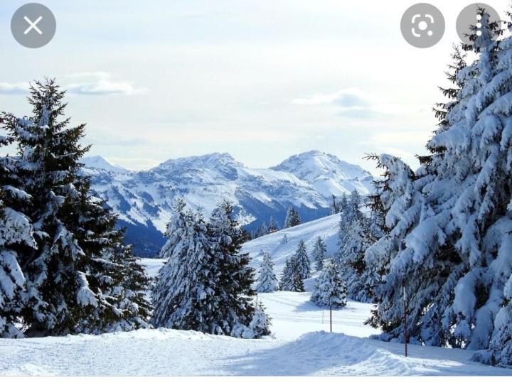 L'Oree Des Bois , Detente Et Calme . Mesigny 外观 照片